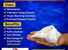 Original Valampuri Sangu Small Size 4 Inch Price in Chennai