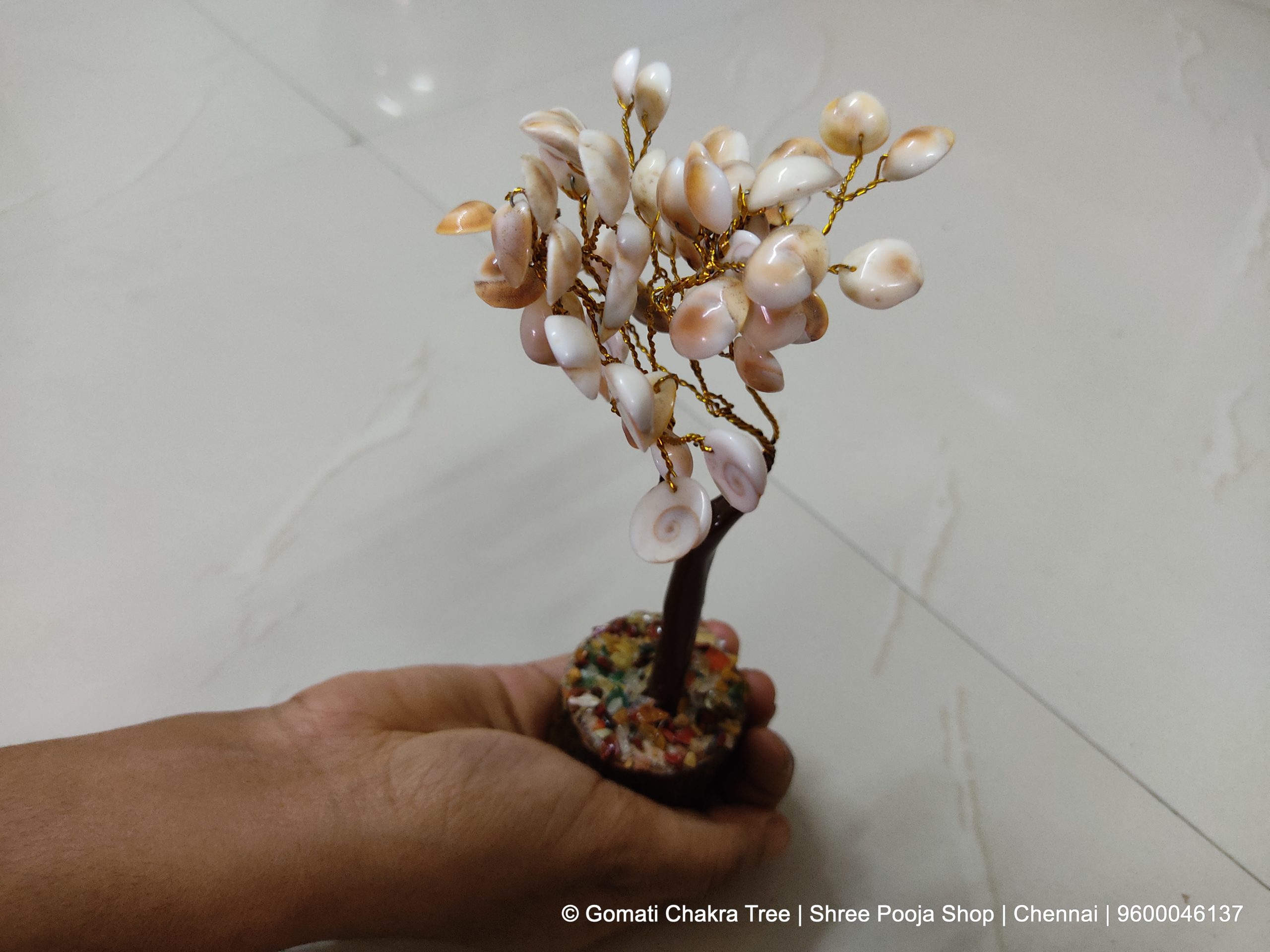 Gomati Chakra Tree