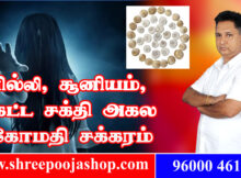 Gomati Chakra for Evil Effects in Tamil